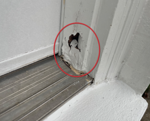 rotted door jamb, best priced home inspector
